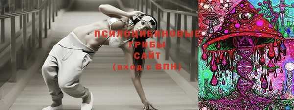 соль ск Михайловск