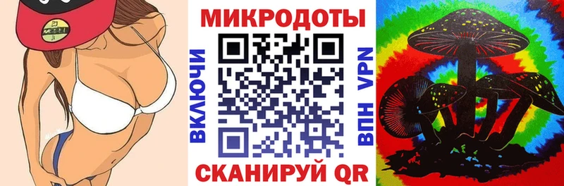 Купить  Хилок  Псилоцибиновые грибы GOLDEN TEACHER 